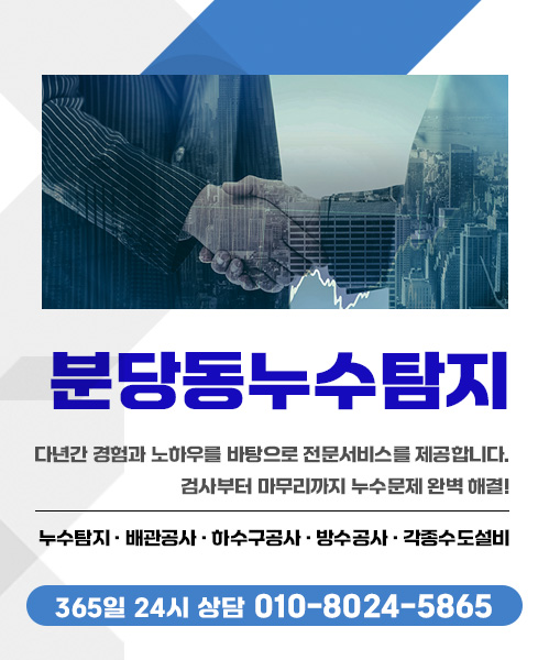 분당동누수탐지-분당동물뚝누수탐지아파트빌라누수업체 모바일 비주얼 0